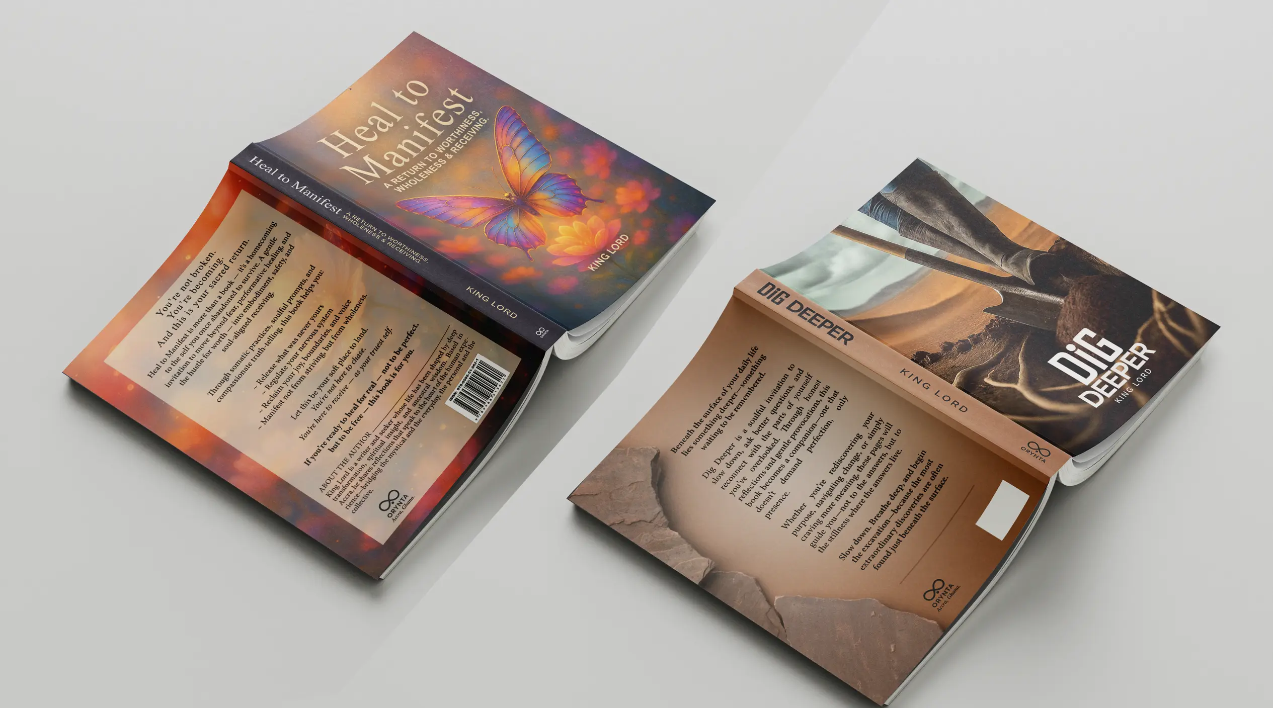 Professionally designed book cover with bold typography and matte finish